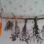 Barn House Mm Apartment Bled
