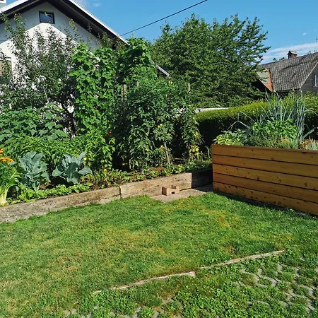 Barn House Mm 블레드