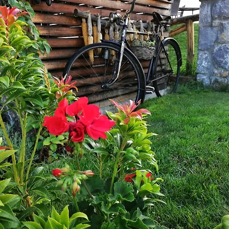 Barn House Mm *