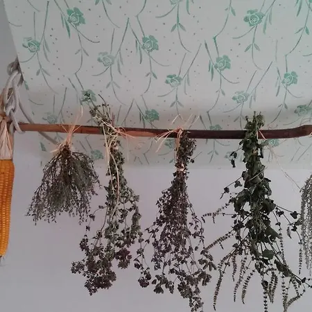 Barn House Mm Apartment Bled