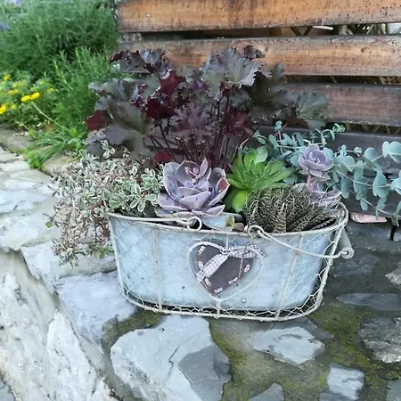 Barn House Mm 아파트 블레드