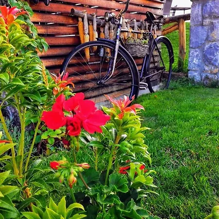 Barn House Mm * Bled