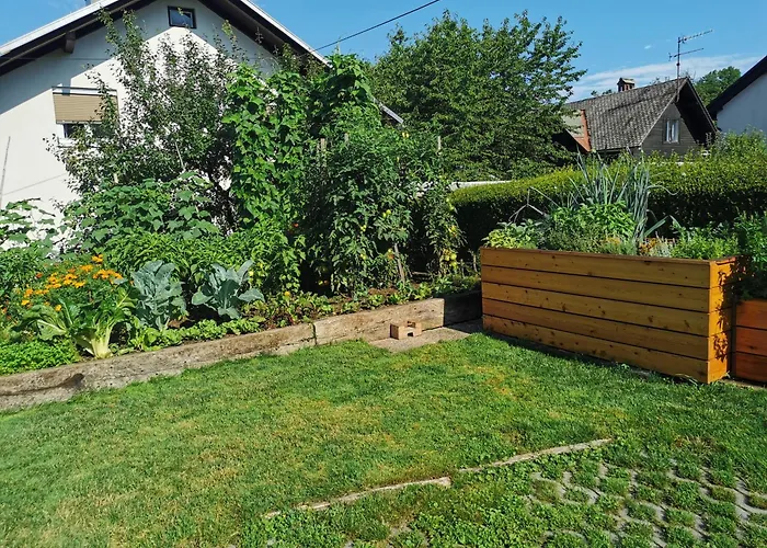 Barn House Mm Μπλεντ