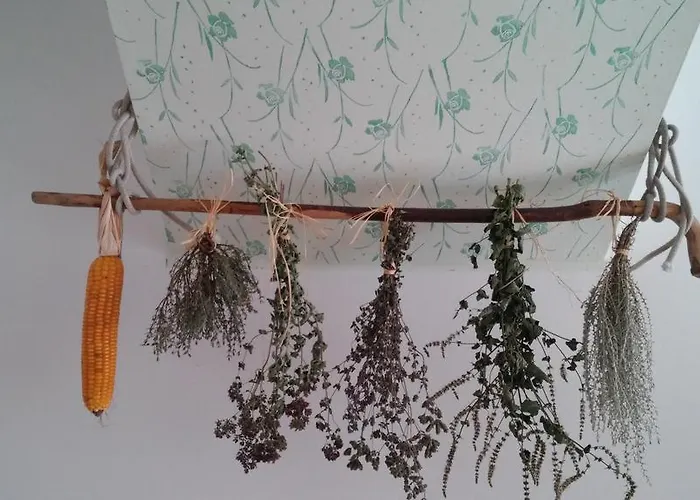 Barn House Mm アパート ブレッド